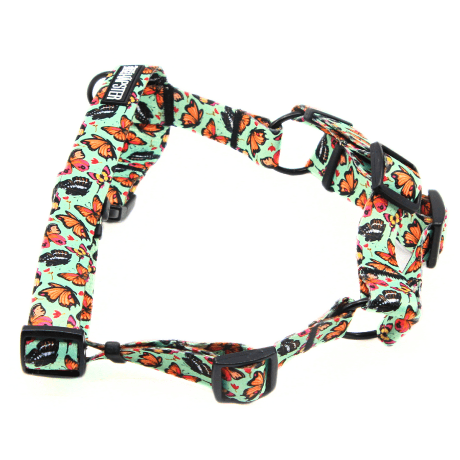 Traksid "Time flies"