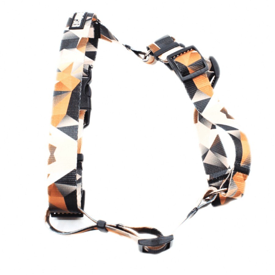 Traksid "Wild dreams"