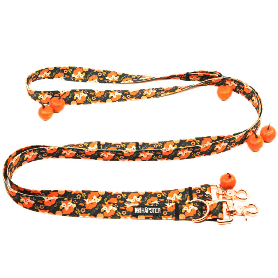 Jalutusrihm "Clever as a fox"