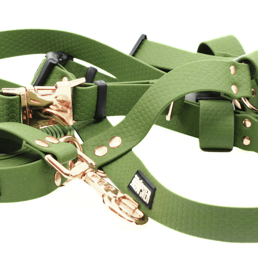 Veekindel oliiviroheline