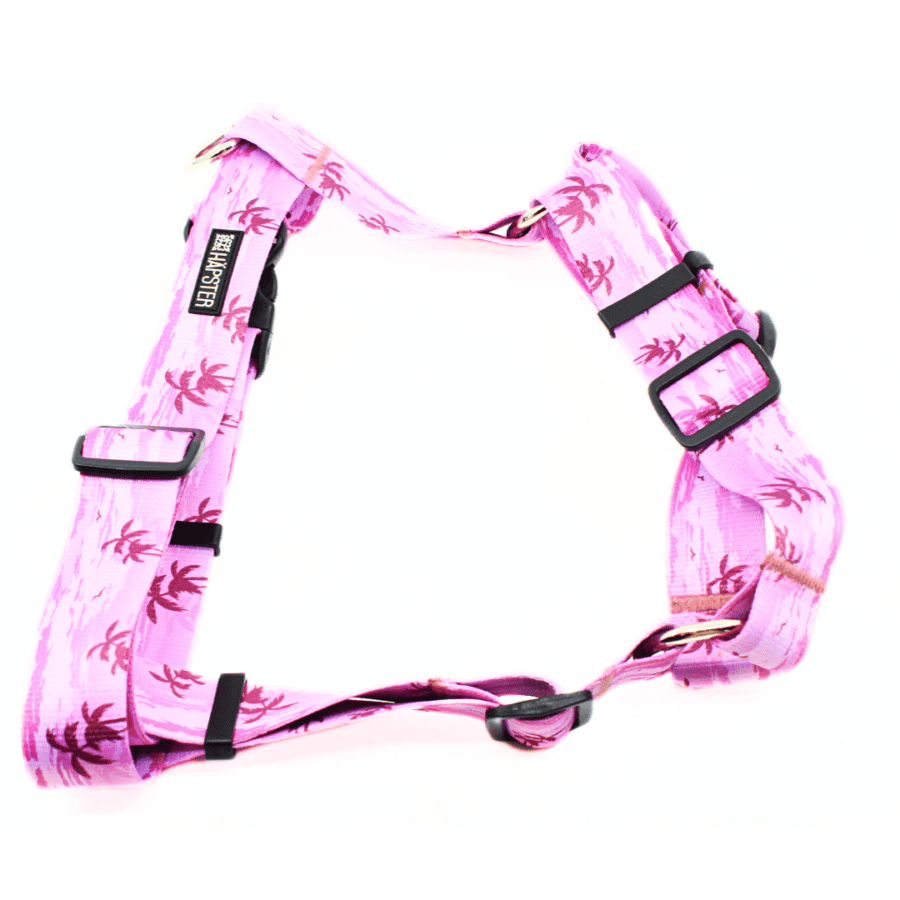 Traksid "Summer nights"