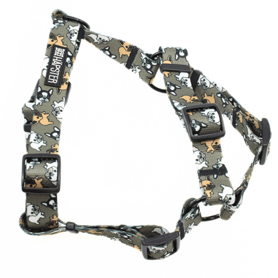 Traksid "Talk frenchie to me"