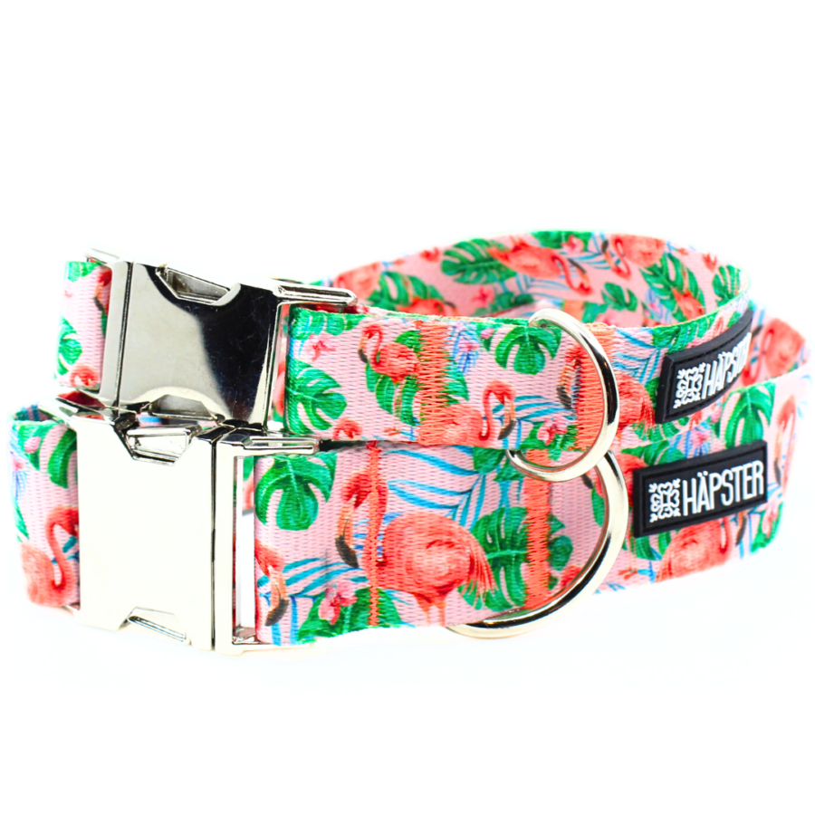 Kaelarihm "Flamazing"