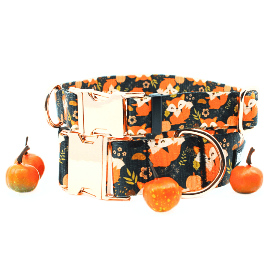 Kaelarihm "Clever as a fox"