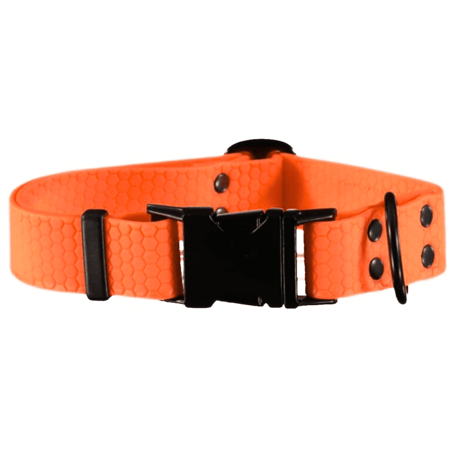 Neoonoranž veekindel kaelarihm