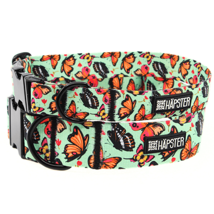 Kaelarihm "Time flies"