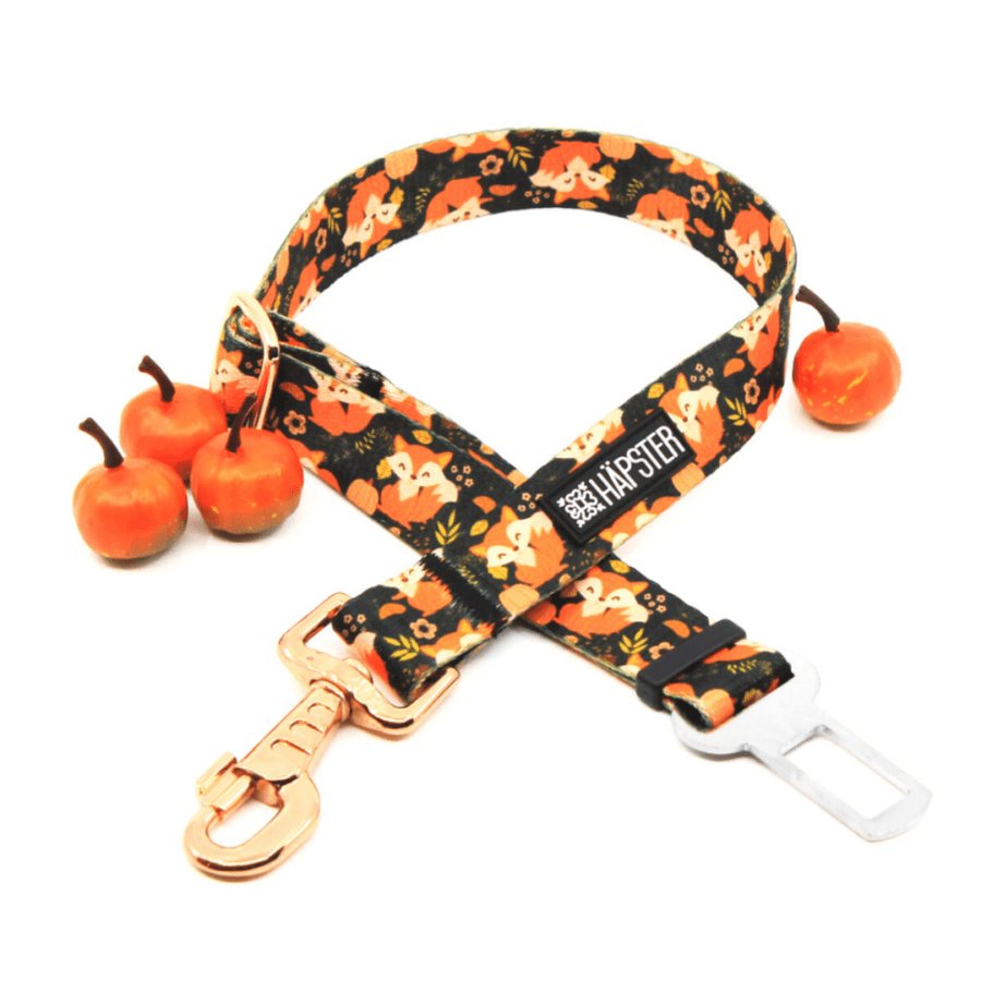 Turvavöö "Clever as a fox"