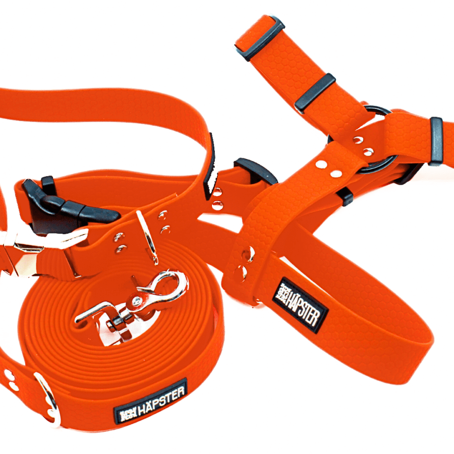 Veekindel tulipunane