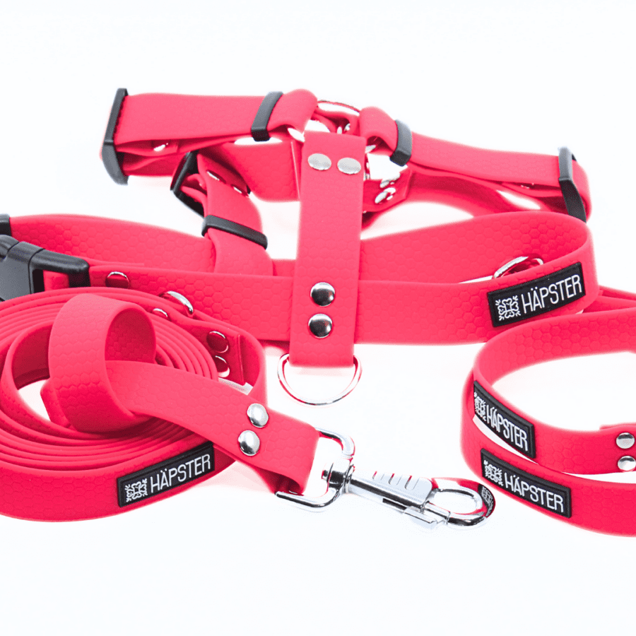 Veekindel vaarikaroosa