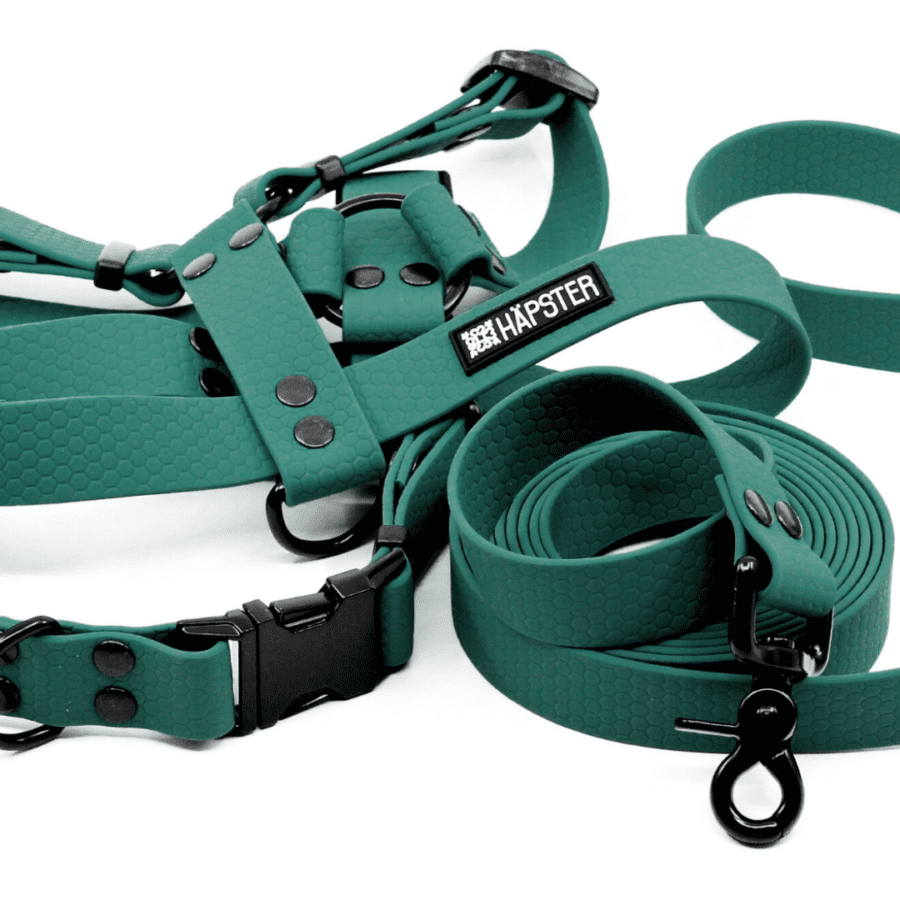 Veekindel metsaroheline