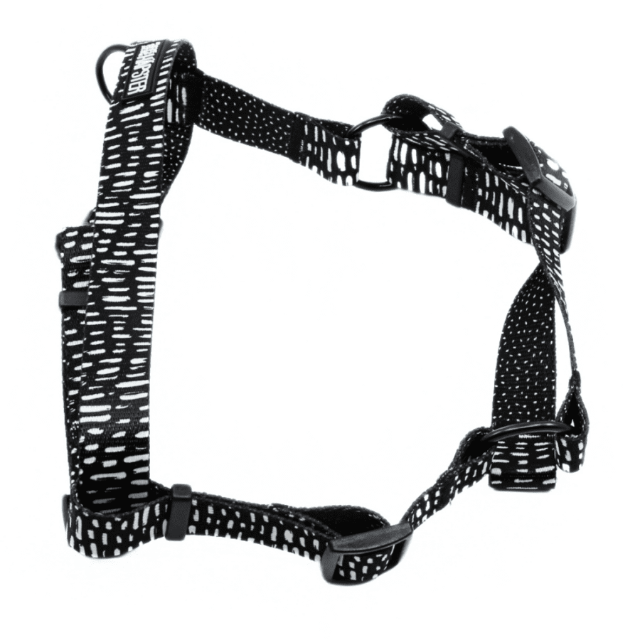 Traksid "Start from a dot" (triibud)