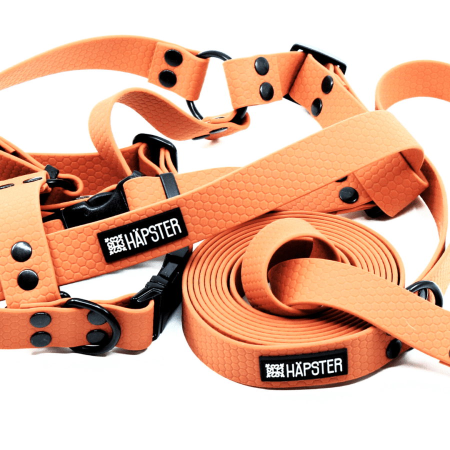 Veekindel aprikoosipunane