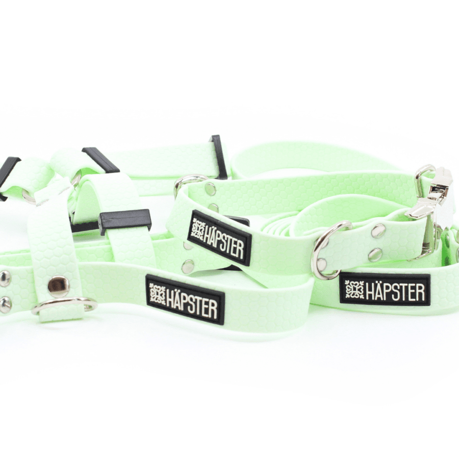 Veekindel mündiroheline