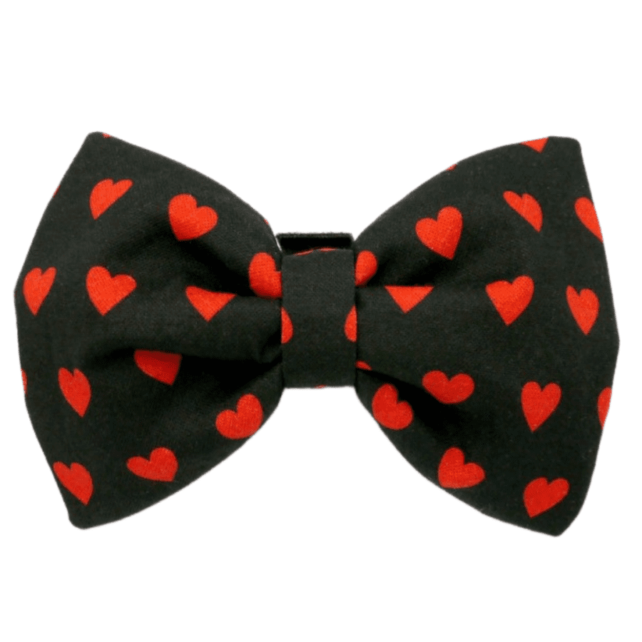 Lips "Love is 4 paws"