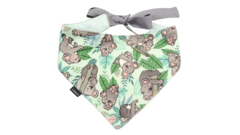 Copy of Untitled - 2024-01-11T143157