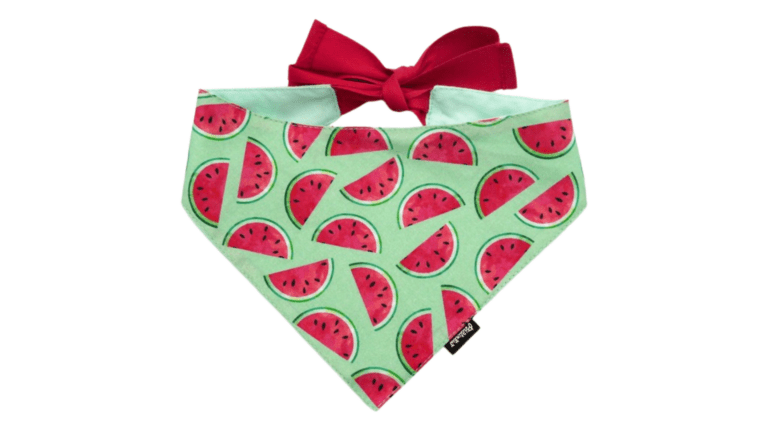 Copy of Untitled - 2024-01-11T143240