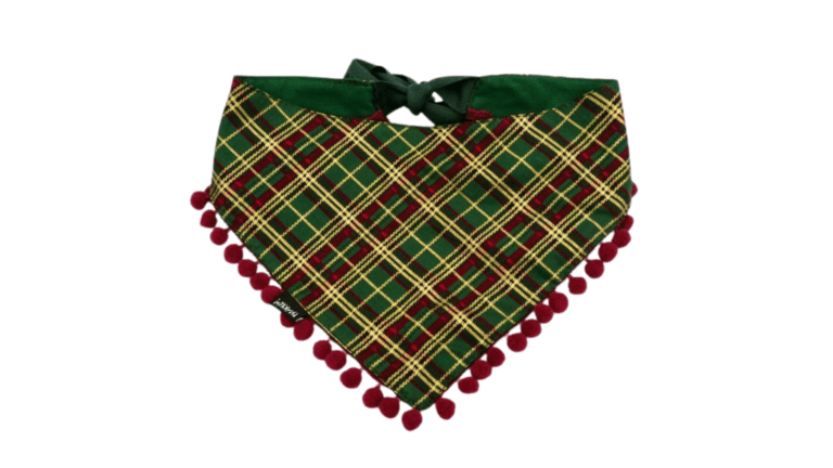 Copy of Untitled - 2024-01-11T143321