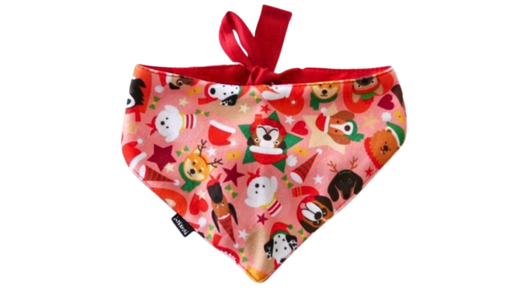 Copy of Untitled - 2024-01-11T143506