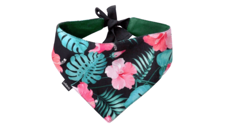 Copy of Untitled - 2024-01-11T143538