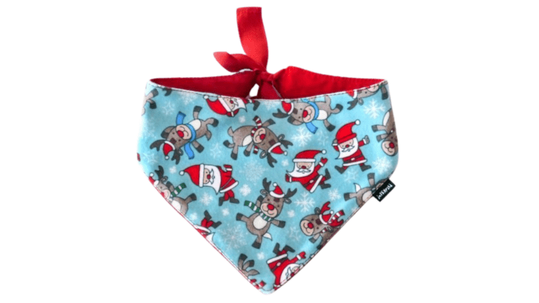 Copy of Untitled - 2024-01-11T143635