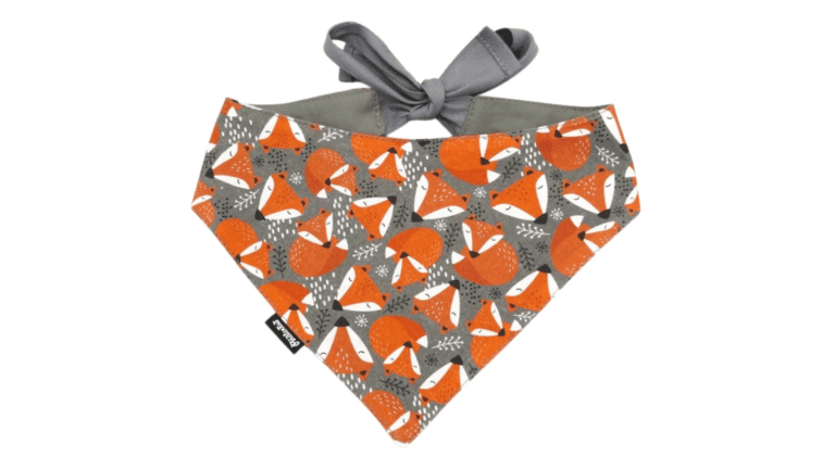 Copy of Untitled - 2024-01-11T143733