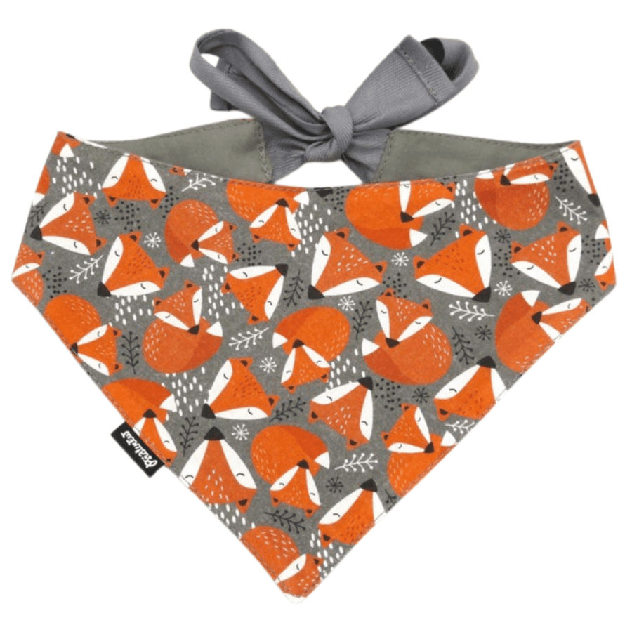 Kaelarätik "Clever as a fox"