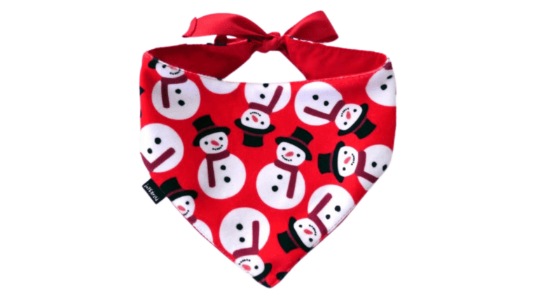 Copy of Untitled - 2024-01-11T143953