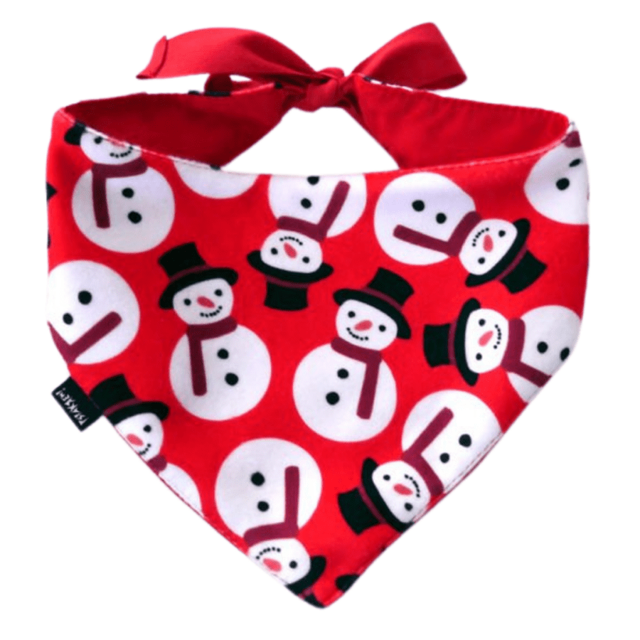 Kaelarätik "Snowman"