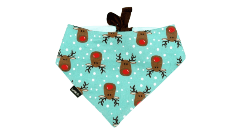 Copy of Untitled - 2024-01-11T144238