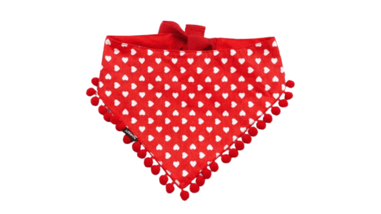 Copy of Untitled - 2024-01-11T144436