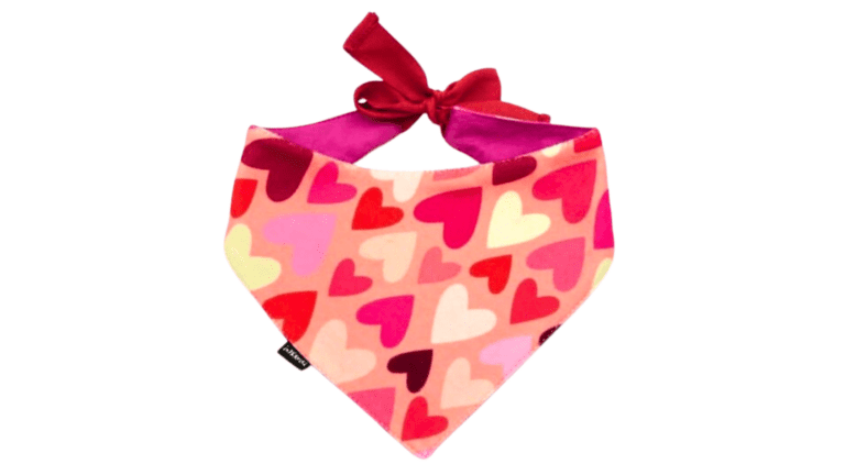 Copy of Untitled - 2024-01-11T144541