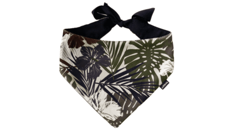 Copy of Untitled - 2024-01-11T144739