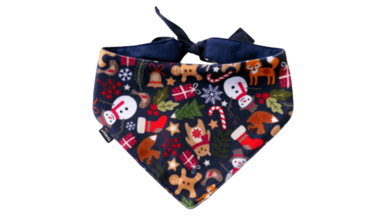 Copy of Untitled - 2024-01-11T144817