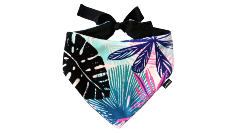 Copy of Untitled - 2024-01-11T145102