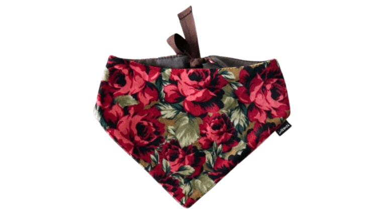 Copy of Untitled - 2024-01-11T145208