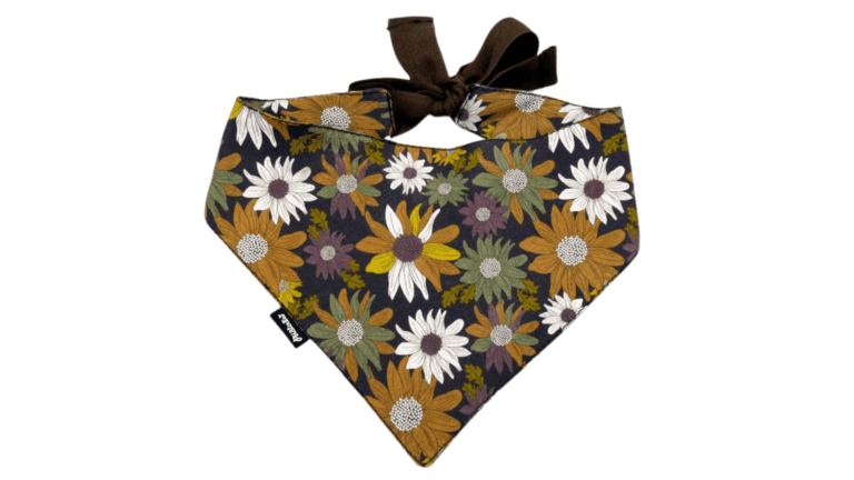 Copy of Untitled - 2024-01-11T151108