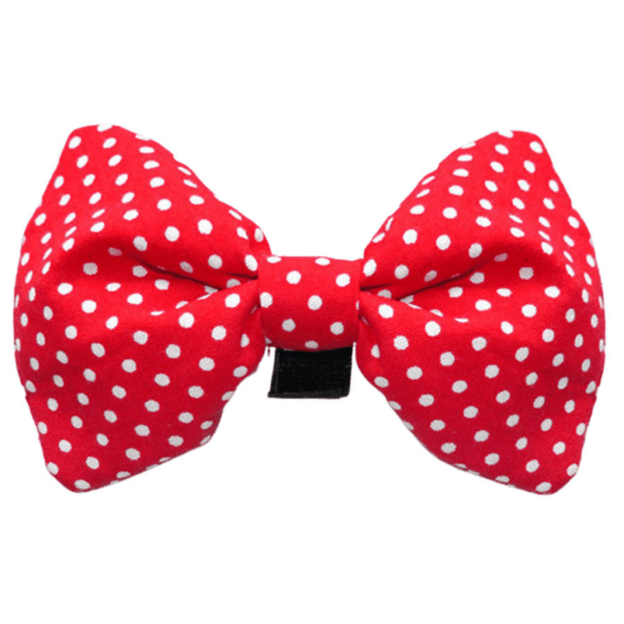 Lips "Dot story" (red)