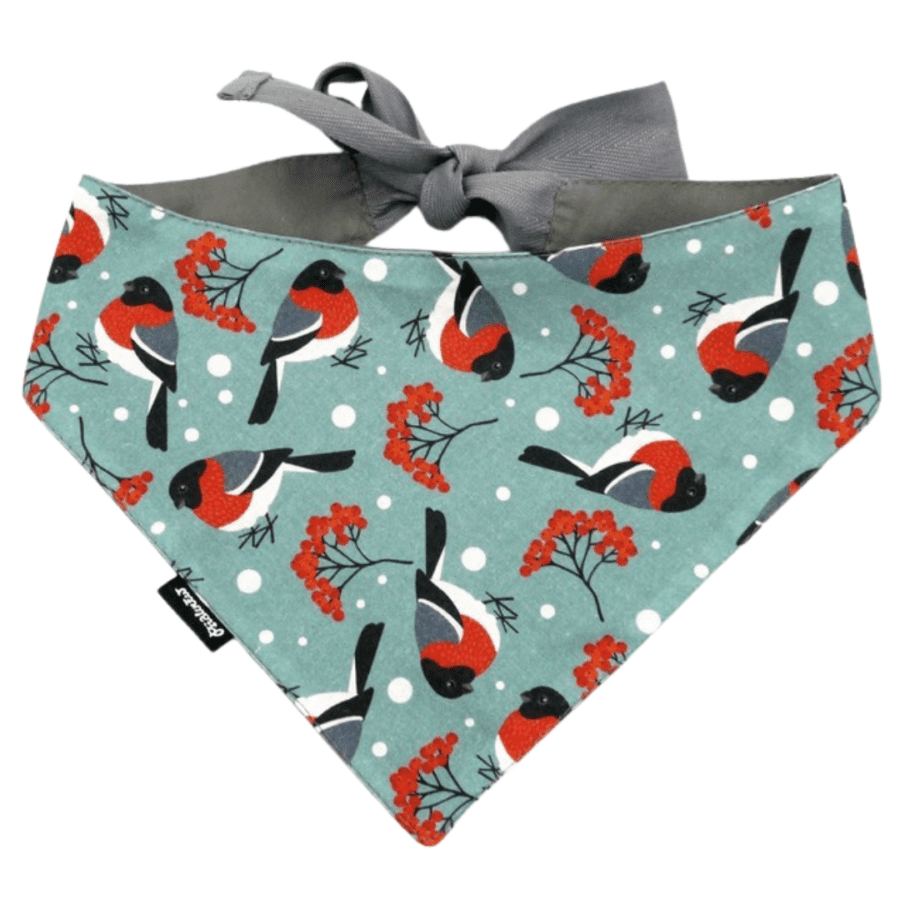 Kaelarätik "Birdie"