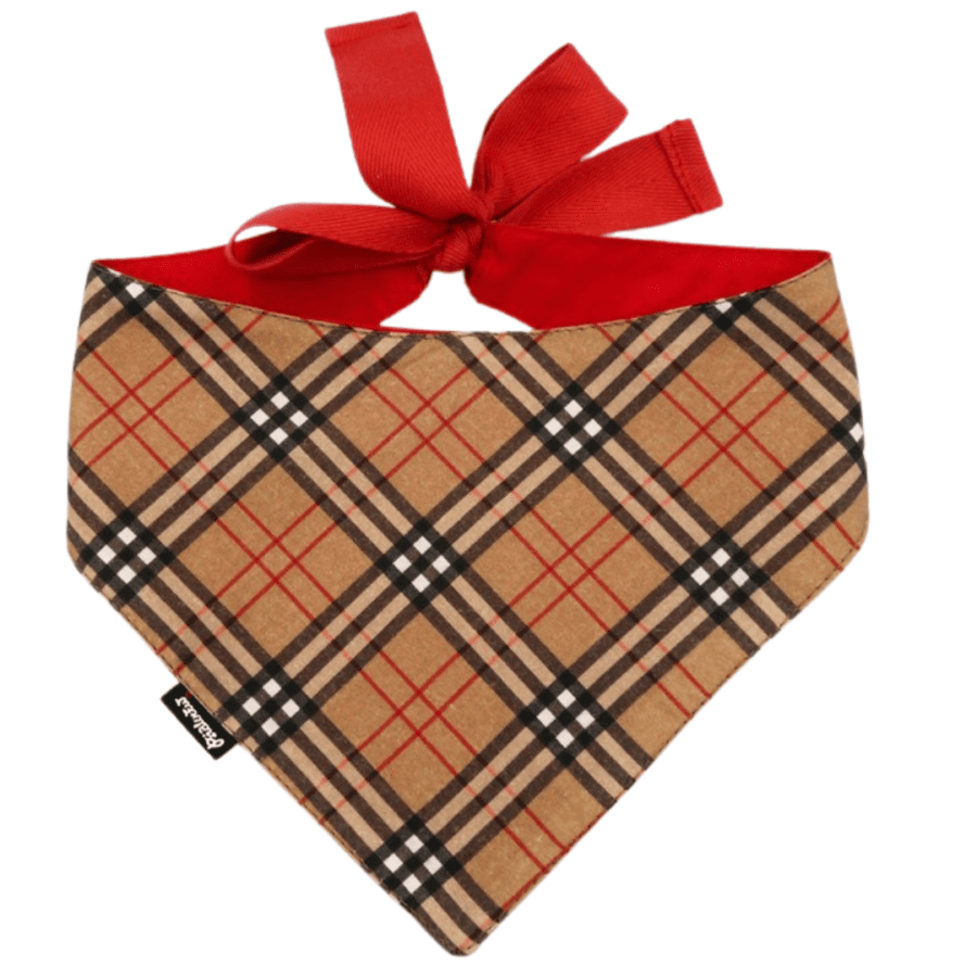 Kaelarätik "DogBerry"