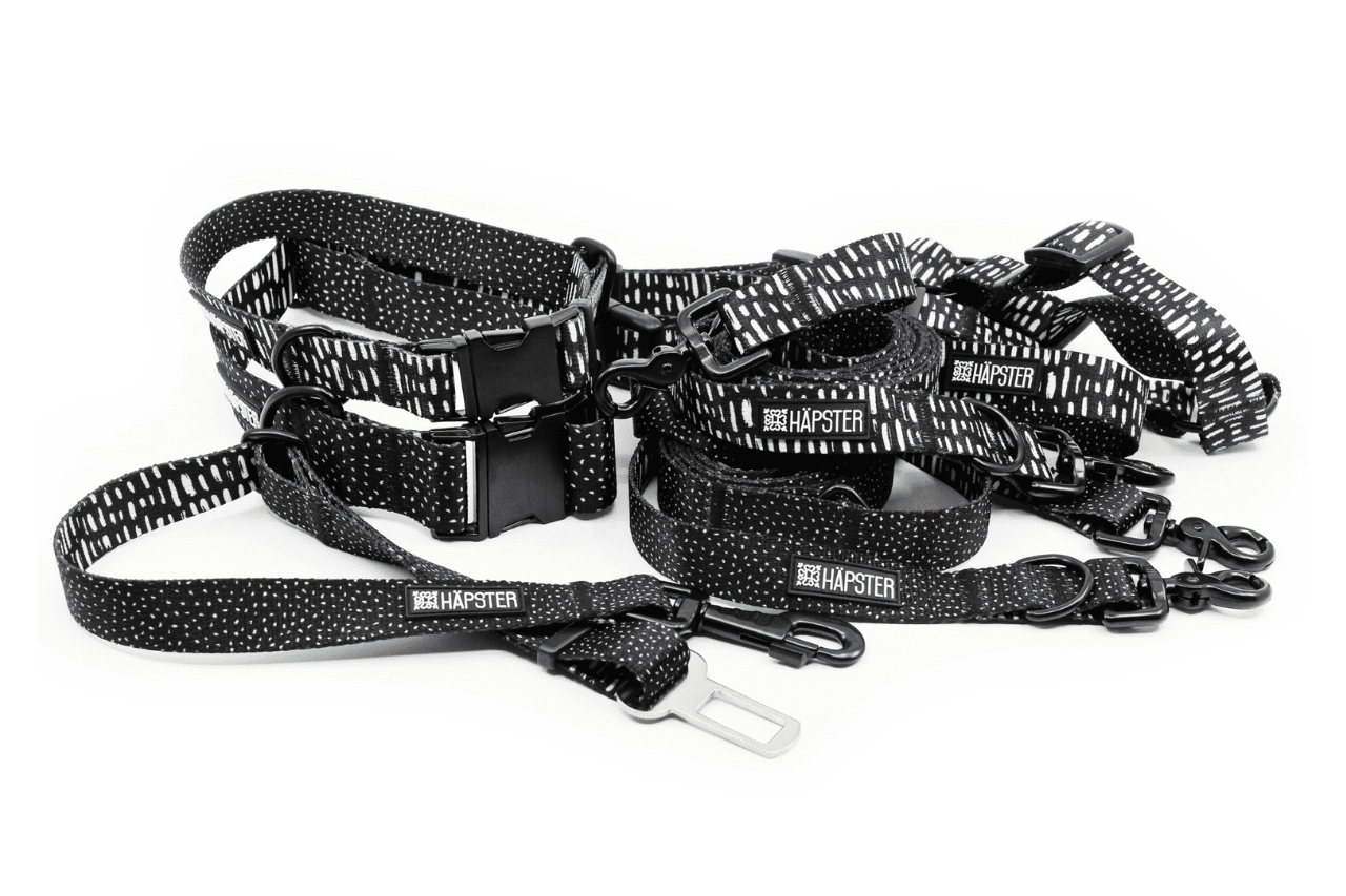 Täpilised rihmad koertele - jalutusrihmad, kaelarihmad, traksid