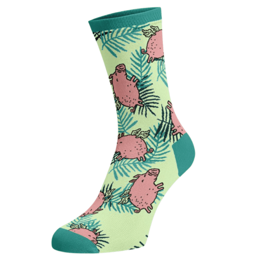 Sokid koeraomanikele "Lendav Põrsas"