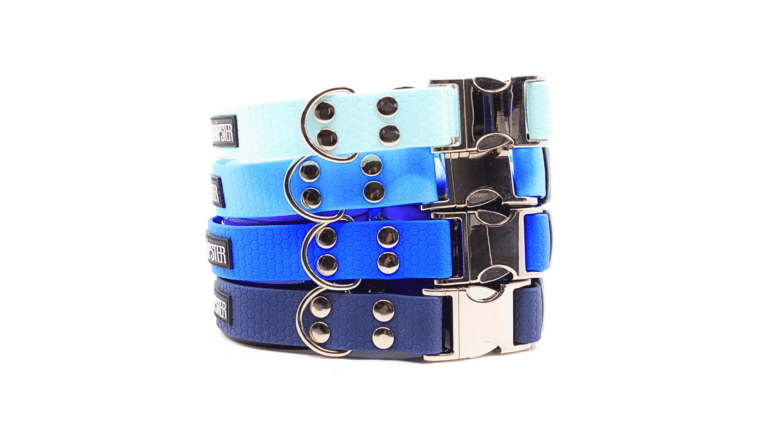 Untitled design - 2024-03-01T145051