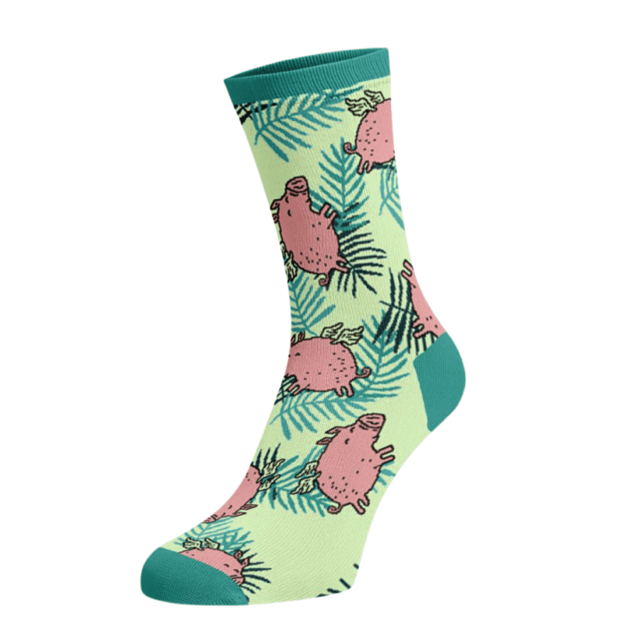 Sokid "Lendav Piggy"