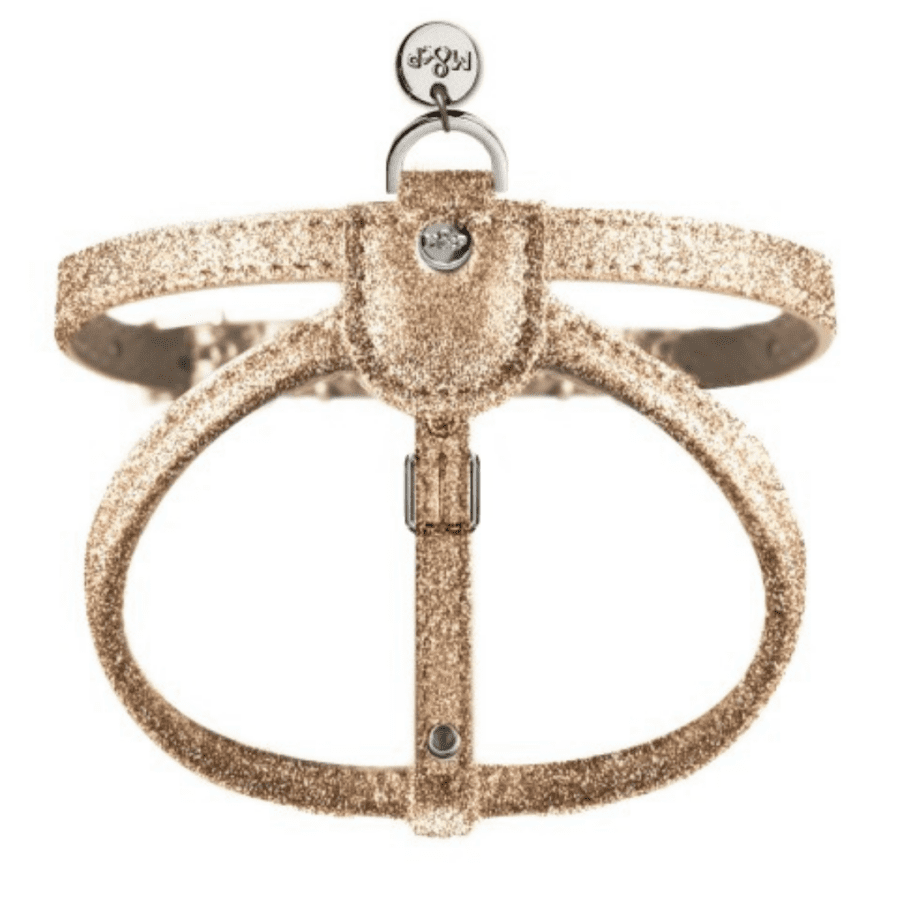 Traksid "Stardust" (kuldsed)