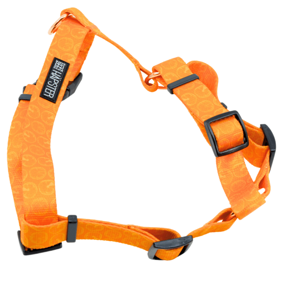 Traksid "Juicy orange"