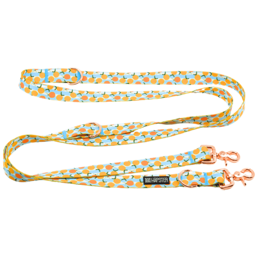 Jalutusrihm "Summer squeeze"