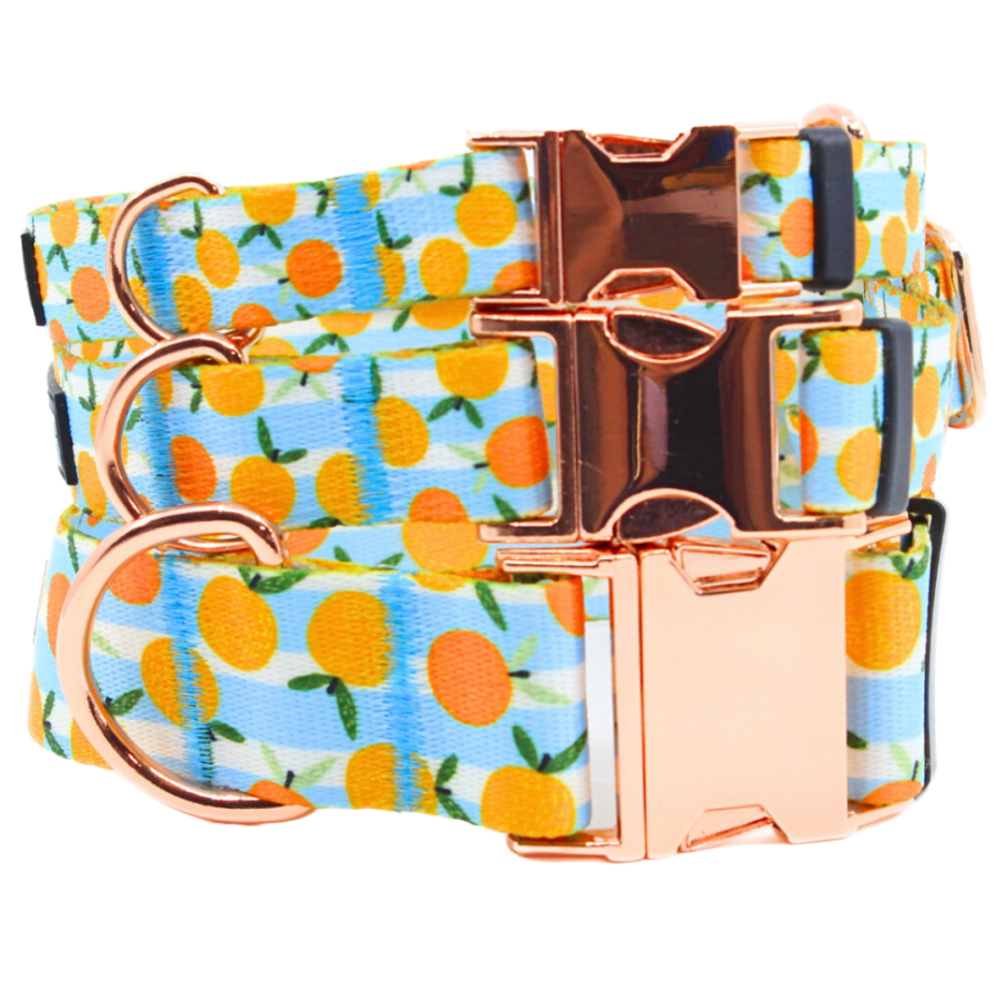 Kaelarihm "Summer squeeze"