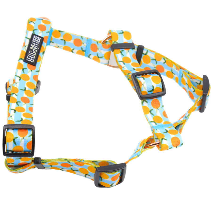 Traksid "Summer squeeze"