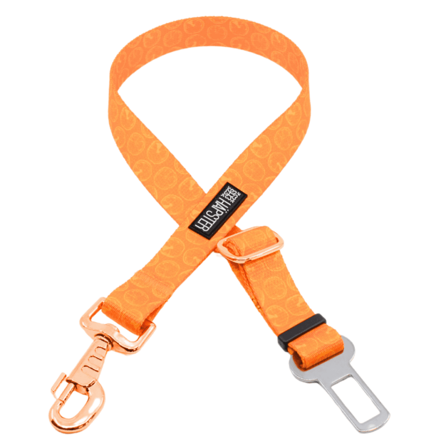 Turvavöö "Juicy orange"