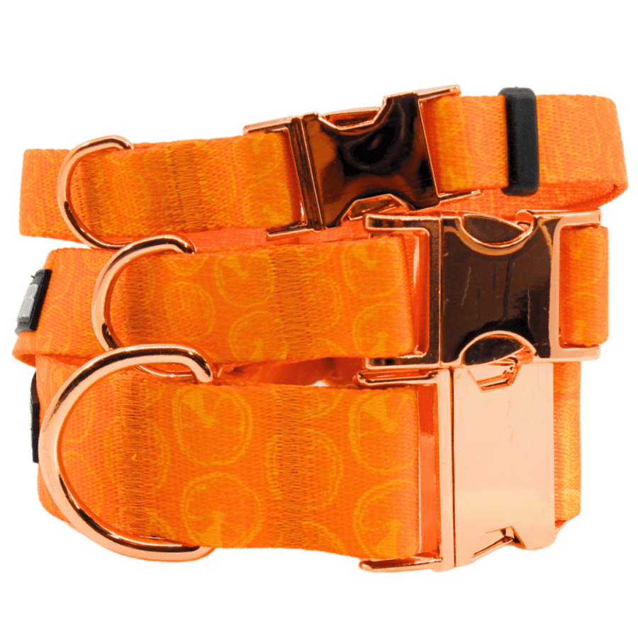 Kaelarihm "Juicy orange"